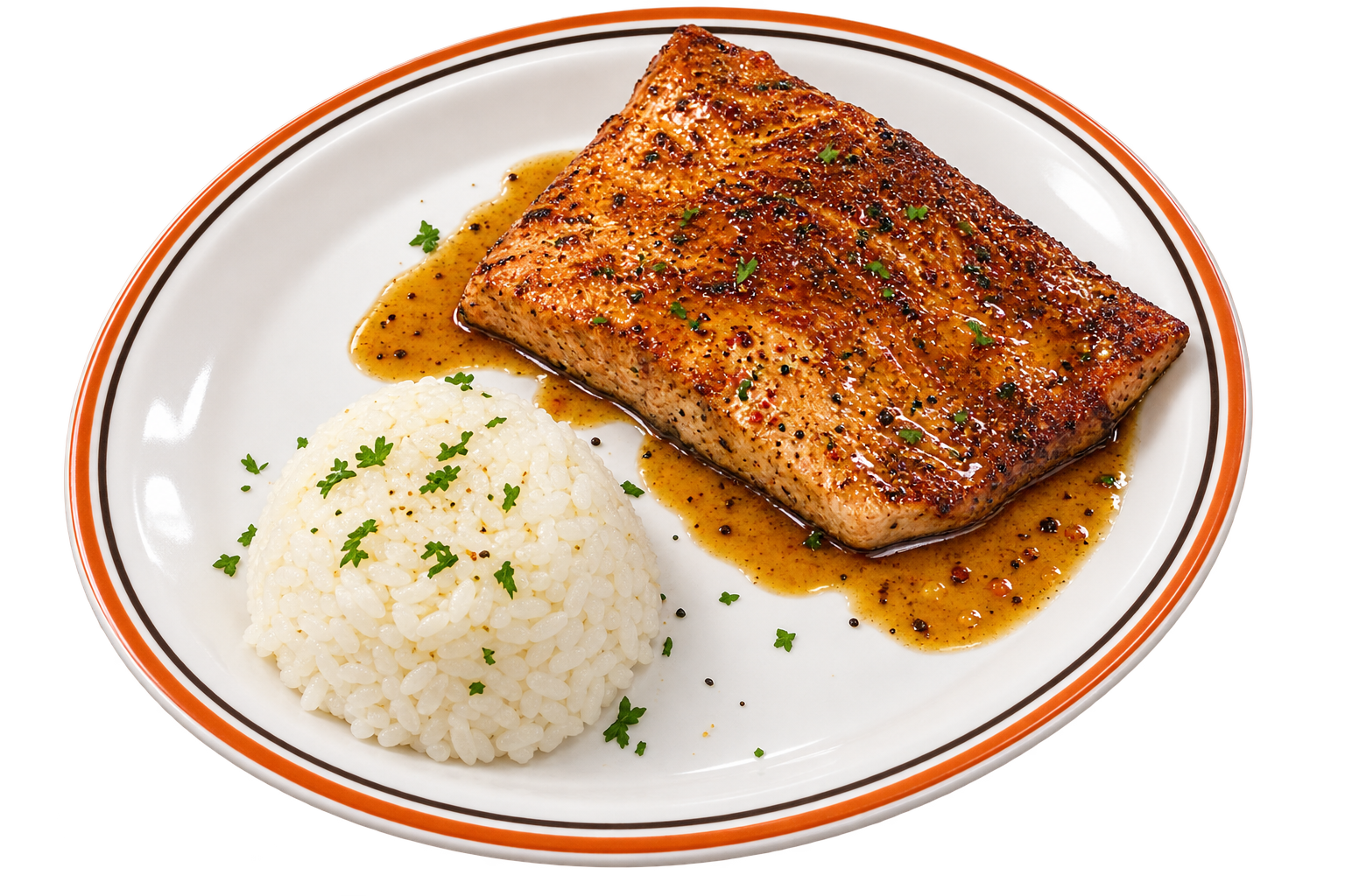 salmon fillet with white rice